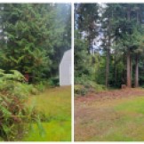 Before and After, Fire mitigation, property take back, tree removal, brush removal, clearing, tree service